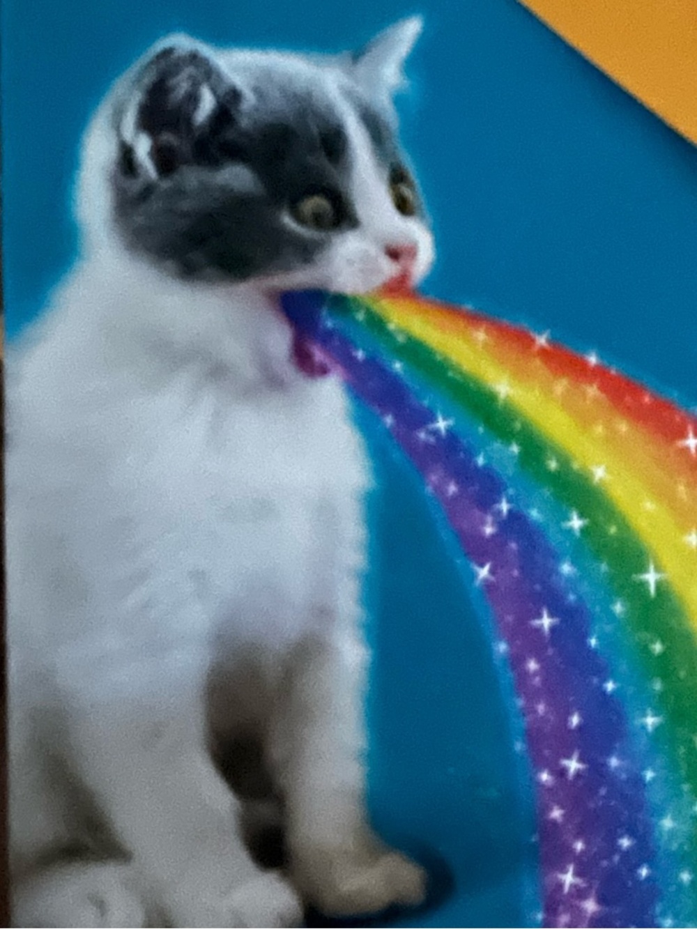 ๐ Rainbow Share Show! 6/20 2pm - Picture 5 of 11